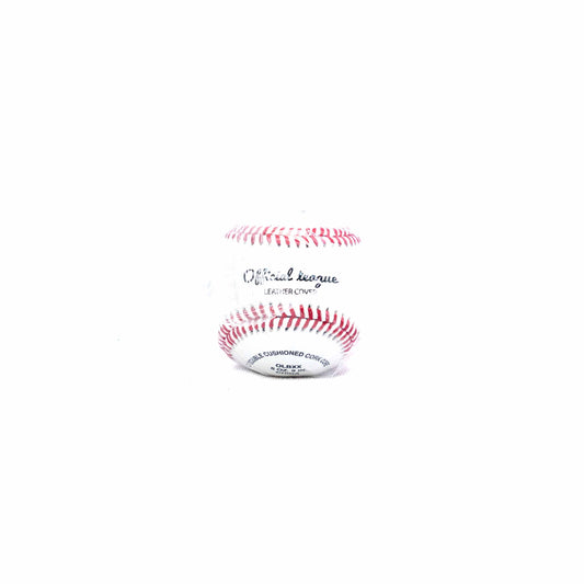 CHAMPION BASEBALLS CASE